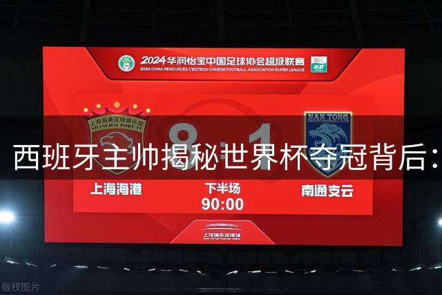 西班牙主帅揭秘世界杯夺冠背后：团队精神铸就传奇之路