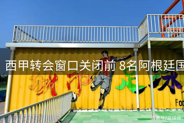 西甲转会窗口关闭前 8名阿根廷国脚集体改换门庭